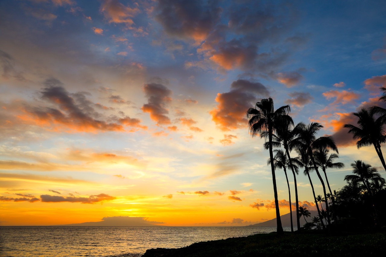 Golden Maui sunset over the ocean with glowing clouds and silhouetted palm trees